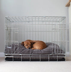 Dog Cushion in Dark Grey Essentials – M, Without Personalization pour la maison et le jardin