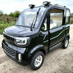 2-Seat Electric Outdoor Scooter