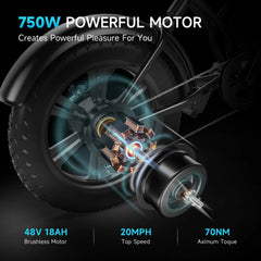 750W 48V 18Ah Electric Bike for Adults, 20-Inch Fat Tires, Removable Battery, 20 MPH, 68-Mile Range