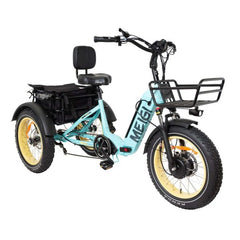 48V 14Ah 750W Foldable Fat Tire Electric Trike, 330-Lb. Capacity