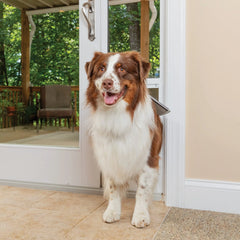 Sliding Glass Pet Door, No-Cut DIY Installation for Renters, Apartments and Rental Homes