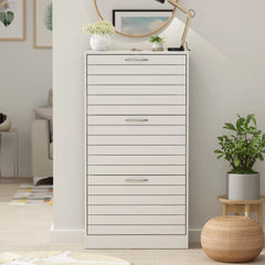 Modern Shoe Storage Cabinet for Entryway and Hallway, Space-Saving Shoe Organizer