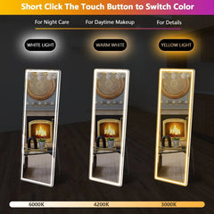 64 x 21 Inch Full Length LED Floor Mirror with Stand, Wall Mounted Full Body Mirror